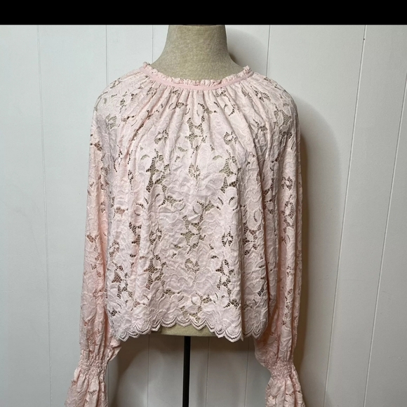 Free People, Olivia, Romantic Pink Lace Long Flare Sleeve XL - Picture 3 of 5